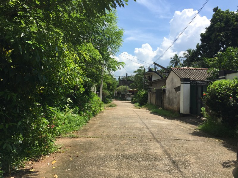 BARE LAND FOR SALE ON TEMPLE ROAD EKALA JA ELA