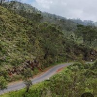 COMMERCIAL LAND FOR SALE IN DABETANNA ROAD - HAPUTALE