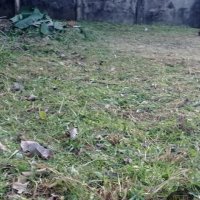 RESIDENTIAL LAND FOR SALE AT SRI DHARMARAMA ROAD - RATHMALANA