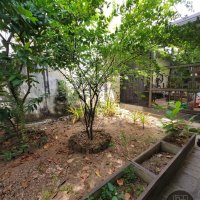 LAND FOR SALE AT BAUDDHALOKA MAWATHA - COLOMBO 08