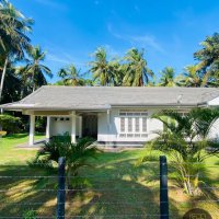 LOVELY HOUSE WITH LAND FULL OF COCONUT TREES FOR SALE ON MALLIGAHATTA ROAD - NATTANDIYA