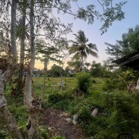 LAND FOR SALE IN NEGOMBO