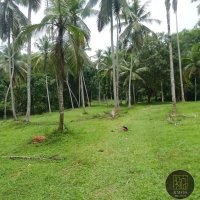 LAND FOR SALE AT – HADAPANGODA ROAD, PORUWEDANDA 