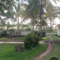 LAND FOR SALE (SEA VIEW) – ST ANTHONY’S ROAD, HENDALA - WATTALA